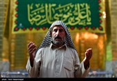 حال و هوای کربلا در شام میلاد امام رضا (ع) 