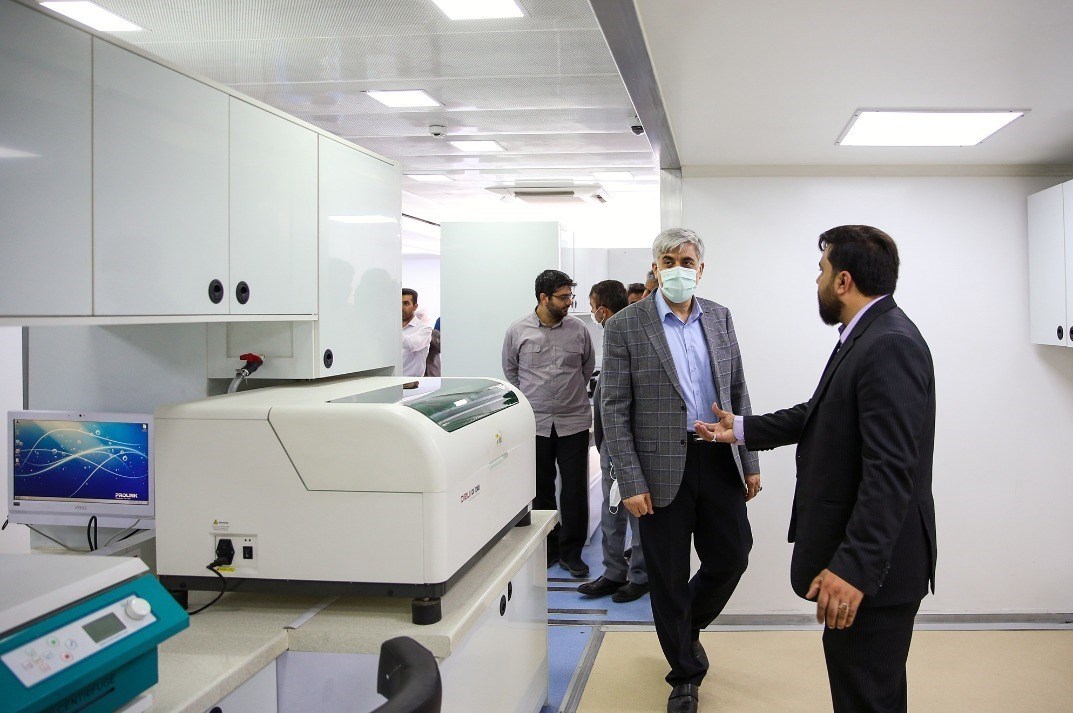 بنیاد برکت , ستاد اجرایی فرمان امام , 