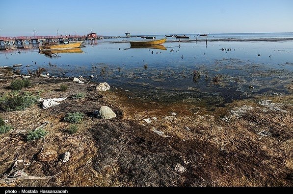 پایش و نظارت در محیط زیست , 