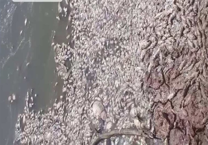 استان کرمان , فیلم , 