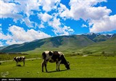 طبیعت منطقه ارسباران - آذربایجان شرقی 