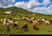 طبیعت منطقه ارسباران - آذربایجان شرقی 