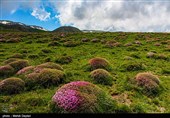 طبیعت منطقه ارسباران - آذربایجان شرقی 