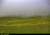 طبیعت منطقه ارسباران - آذربایجان شرقی 