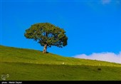 طبیعت منطقه ارسباران - آذربایجان شرقی 
