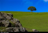 طبیعت منطقه ارسباران - آذربایجان شرقی 