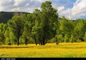 طبیعت منطقه ارسباران - آذربایجان شرقی 