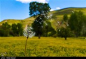 طبیعت منطقه ارسباران - آذربایجان شرقی 