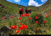 طبیعت منطقه ارسباران - آذربایجان شرقی 