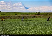 طبیعت منطقه ارسباران - آذربایجان شرقی 