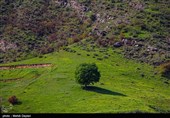طبیعت منطقه ارسباران - آذربایجان شرقی 