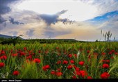 طبیعت منطقه ارسباران - آذربایجان شرقی 
