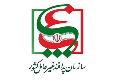 "جاسوس اعدام شده موساد هیچ سمتی در پدافند غیرعامل نداشته است"