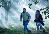نگاهی به فیلم "در آغوش درخت"| لطیف، شاعرانه و انسانی