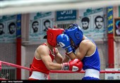 سی و یکمین دوره مسابقات بوکس قهرمانی جوانان کشور