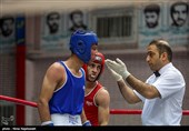 سی و یکمین دوره مسابقات بوکس قهرمانی جوانان کشور