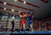 سی و یکمین دوره مسابقات بوکس قهرمانی جوانان کشور