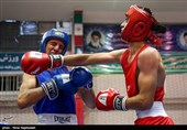 سی و یکمین دوره مسابقات بوکس قهرمانی جوانان کشور