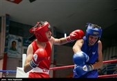 سی و یکمین دوره مسابقات بوکس قهرمانی جوانان کشور