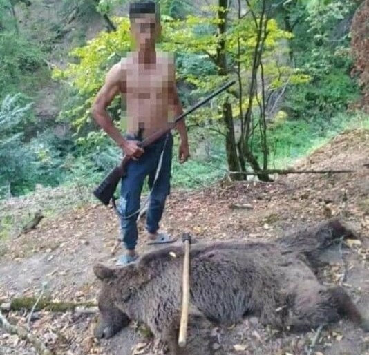 حیات وحش , شکار , 