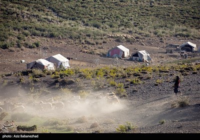 ییلاق عشایر سلسله و دلفان در کوهپایه های گرین - لرستان