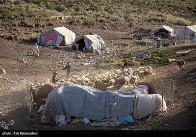ییلاق عشایر سلسله و دلفان در کوهپایه های گرین - لرستان