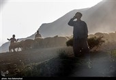 ییلاق عشایر سلسله و دلفان در کوهپایه های گرین - لرستان