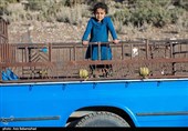ییلاق عشایر سلسله و دلفان در کوهپایه های گرین - لرستان