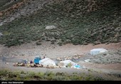 ییلاق عشایر سلسله و دلفان در کوهپایه های گرین - لرستان