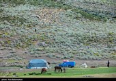 ییلاق عشایر سلسله و دلفان در کوهپایه های گرین - لرستان