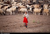 ییلاق عشایر سلسله و دلفان در کوهپایه های گرین - لرستان