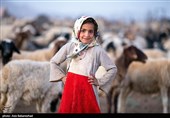 ییلاق عشایر سلسله و دلفان در کوهپایه های گرین - لرستان