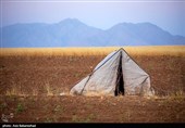 ییلاق عشایر سلسله و دلفان در کوهپایه های گرین - لرستان
