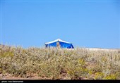 ییلاق عشایر سلسله و دلفان در کوهپایه های گرین - لرستان