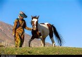 ییلاق عشایر سلسله و دلفان در کوهپایه های گرین - لرستان