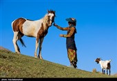 ییلاق عشایر سلسله و دلفان در کوهپایه های گرین - لرستان