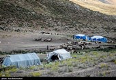 ییلاق عشایر سلسله و دلفان در کوهپایه های گرین - لرستان
