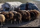 ییلاق عشایر سلسله و دلفان در کوهپایه های گرین - لرستان