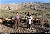 ییلاق عشایر سلسله و دلفان در کوهپایه های گرین - لرستان