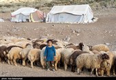 ییلاق عشایر سلسله و دلفان در کوهپایه های گرین - لرستان