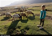 ییلاق عشایر سلسله و دلفان در کوهپایه های گرین - لرستان