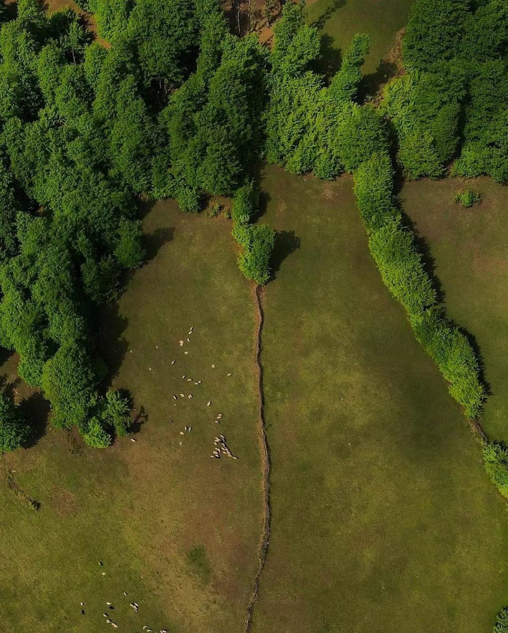 گردشگری | توریسم , 