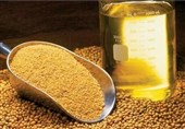 ظرفیت ذخیره‌سازی روغن خام کشور به 1 میلیون و 350 هزار تن می رسد