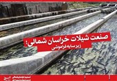 صنعت شیلات در خراسان شمالی غرق  فراموشی/  پرورش ماهی فرصتی برای اشتغال‌پایدار در استانی خشک