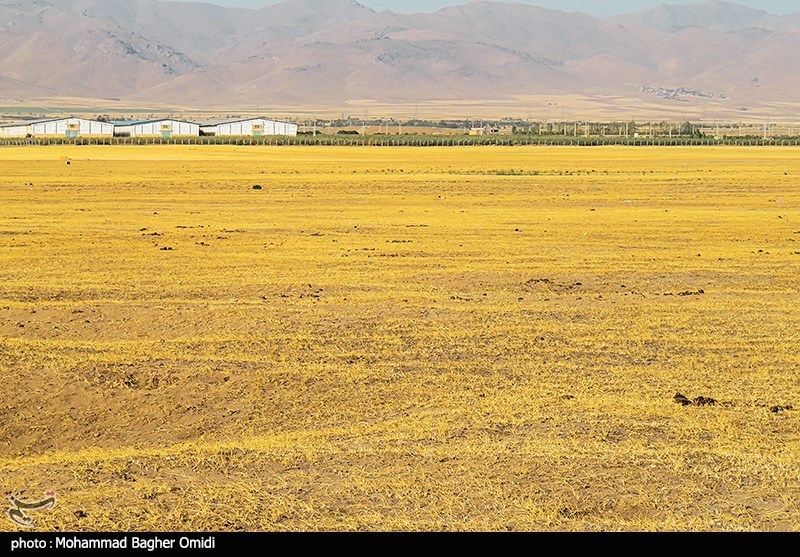 اخبار استان زنجان , گنبد سلطانیه , 