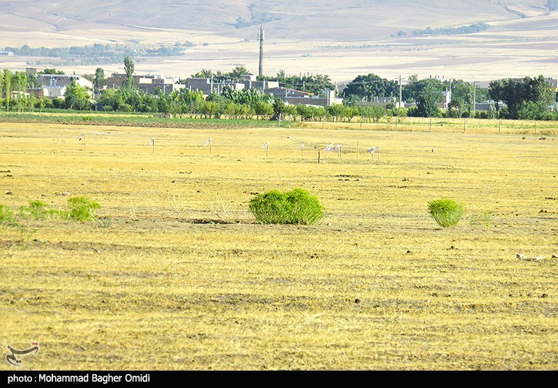 گنبد سلطانیه , 