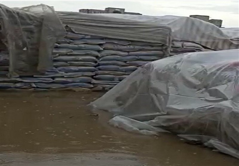 جزئیات تازه از آبگرفتگی برنج در زاهدان/ 1 ماه پیش در نامه به مخبر هشدار داده شده بود/ گمرک در حال تخلیه آب + فیلم و اسناد