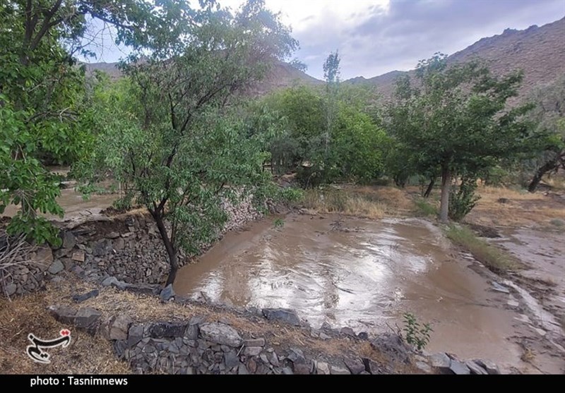 استان کرمان , سیل , سیل زده , 