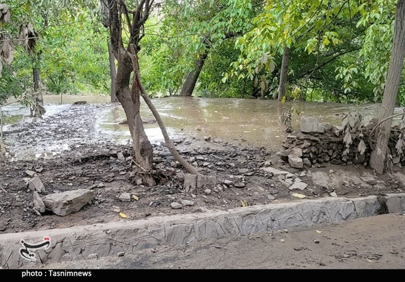 استان کرمان , سیل , سیل زده , 