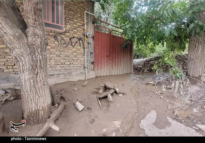 استان کرمان , سیل , سیل زده , 